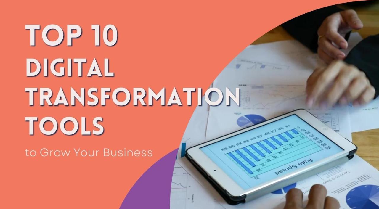 DigiLife Digital Transformation Benchmarking Tools