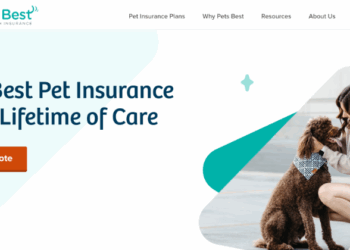 Insurance discounts pet multi deal offers who