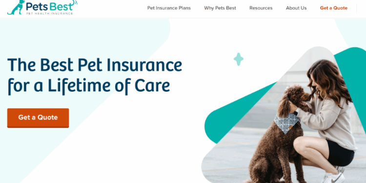 Insurance discounts pet multi deal offers who
