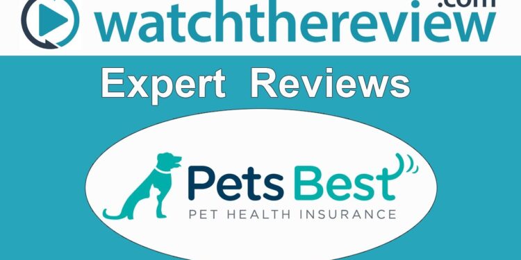 Insurance pet reviews