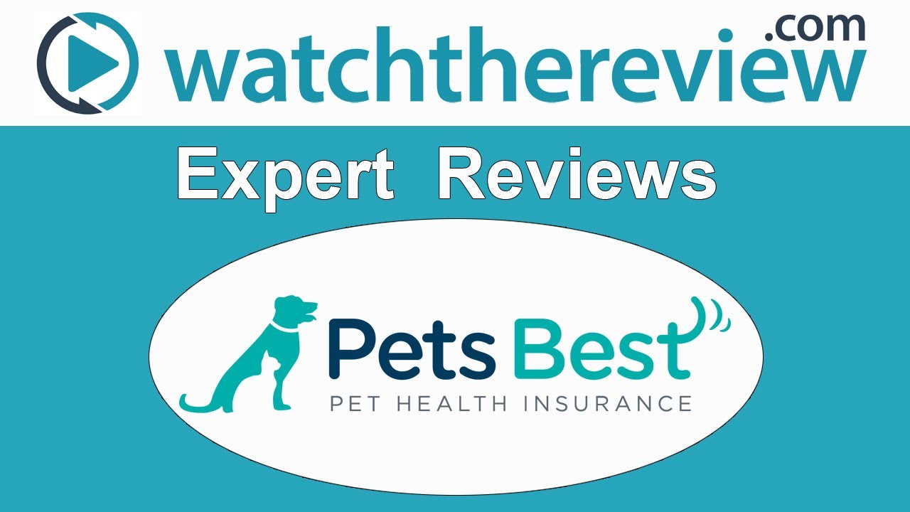 Insurance pet reviews Insurance pet reviews