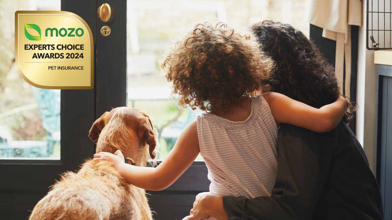 Exclusive PetsBest Pet Insurance Discounts for 2025
